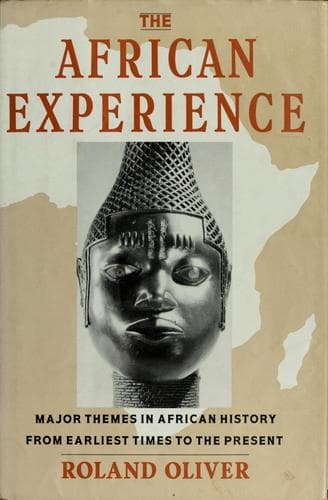 Cover image for The African experience