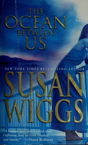 Cover image for The Ocean Between Us