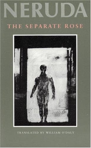 Cover image for Separate Rose