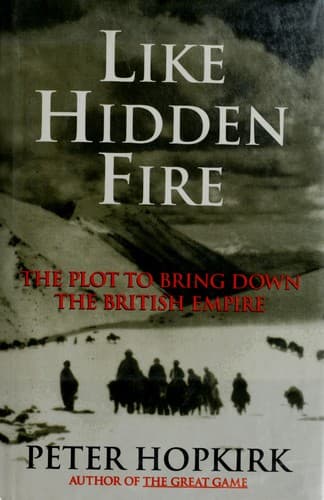 Cover image for Like hidden fire