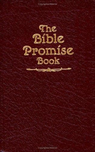 Cover image for The Bible Promise Book