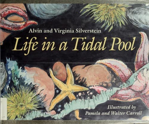 Cover image for Life in a tidal pool