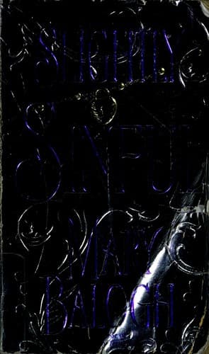 Cover image for Slightly Sinful