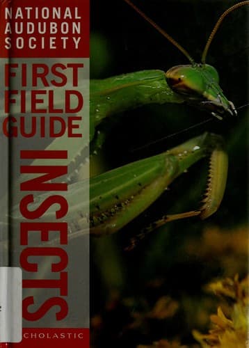 Cover image for National Audubon Society first field guide.