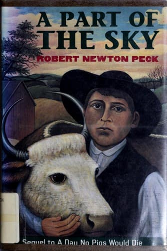 Cover image for A part of the sky