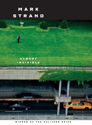 Cover image for Almost invisible