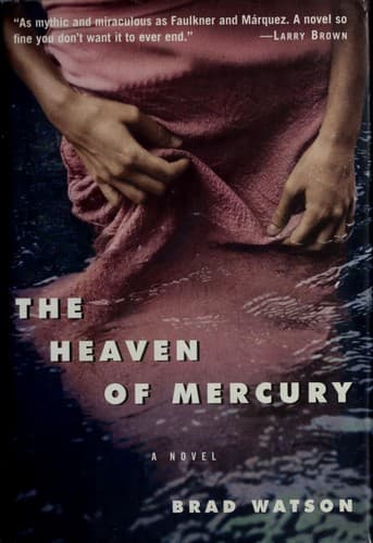 Cover image for The heaven of Mercury