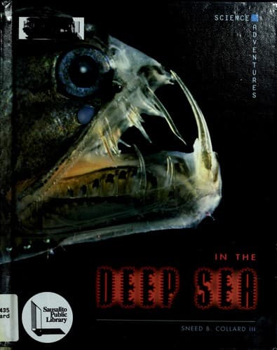Cover image for In the deep sea