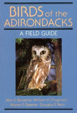 Birds of the Adirondacks