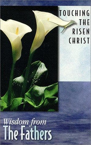Cover image for Touching the risen Christ