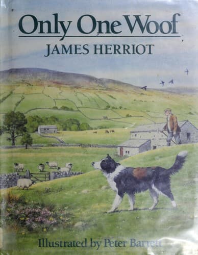 Cover image for Only one woof