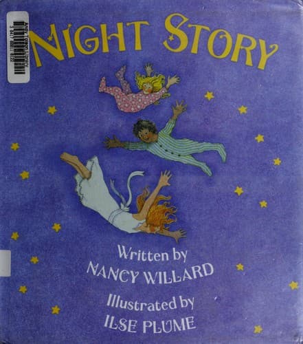 Cover image for Night story