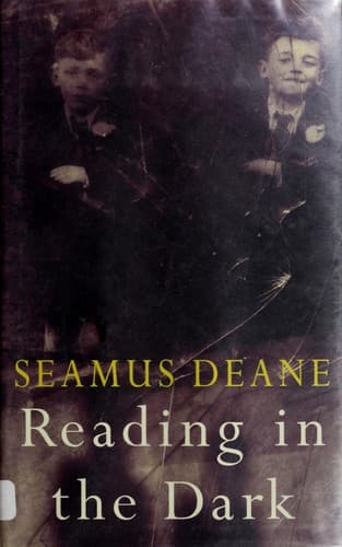 Cover image for Reading in the dark