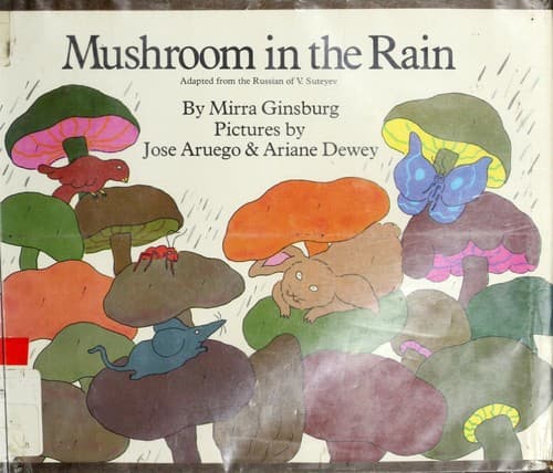 Cover image for Mushroom in the rain.