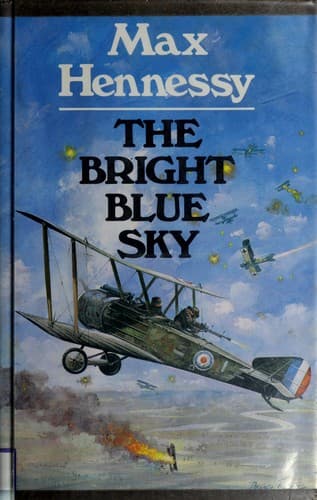Cover image for The bright blue sky