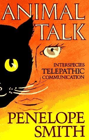 Cover image for Animal Talk