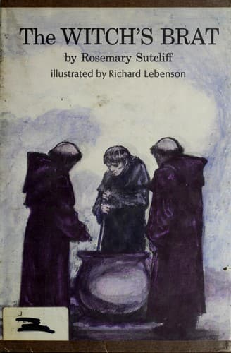 Cover image for The witch's brat.