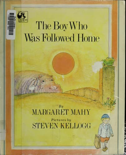Cover image for The boy who was followed home