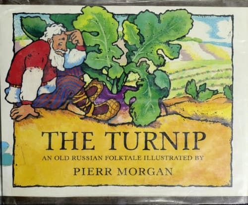 Cover image for The turnip
