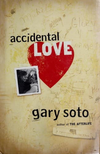 Cover image for Accidental love