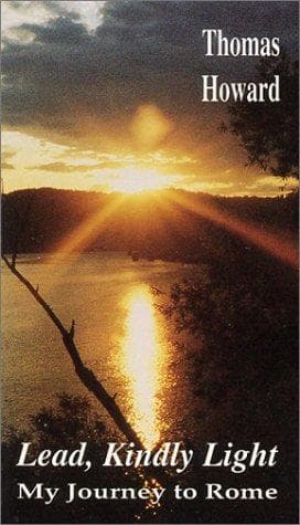 Cover image for Lead, kindly light