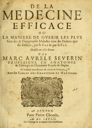 De la medecine efficace, ou, La maniere de guerir les plus grandes & dangereuses maladies tant du dedans que dehors, par le fer & par le fev