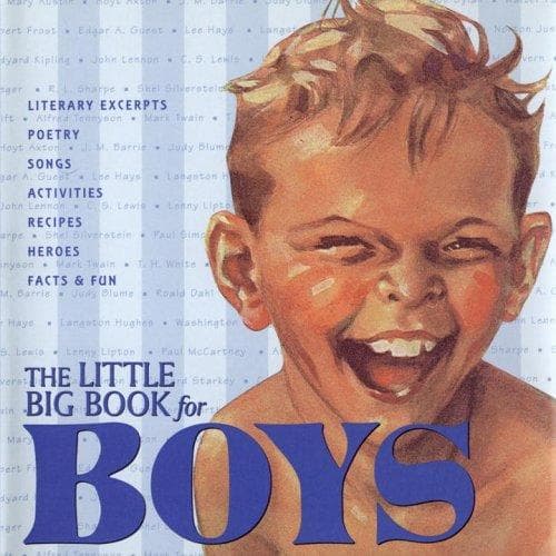 Cover image for The little big book for boys
