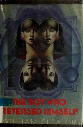 Cover image for The boy who reversed himself