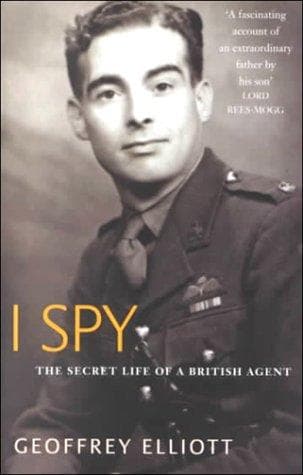 Cover image for I Spy
