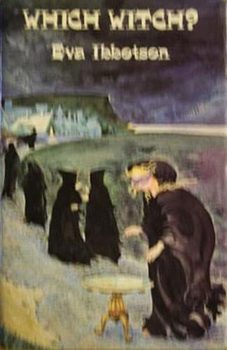 Cover image for Which witch?