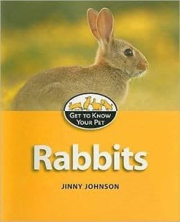 Cover image for Rabbits