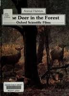 Cover image for The deer in the forest