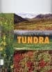 Cover image for Tundra