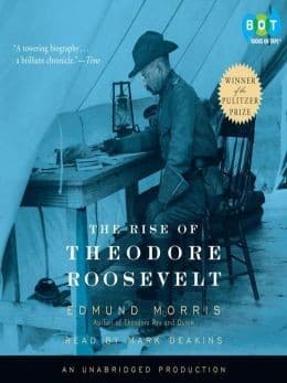 Cover image for The rise of Theodore Roosevelt