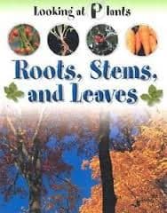 Cover image for Roots, stems, and leaves