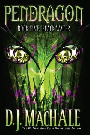 Cover image for Black water