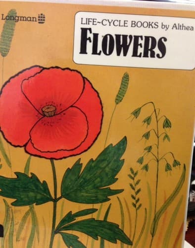 Cover image for Flowers