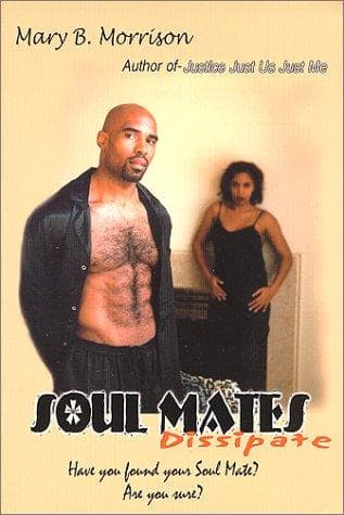 Cover image for Soul mates dissipate