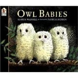 Cover image for Owl Babies