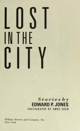 Cover image for Lost in the city