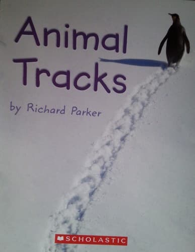 Cover image for Animal tracks