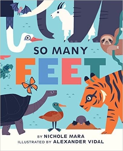 Cover image for So Many Feet