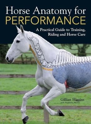 Cover image for Horse anatomy for performance