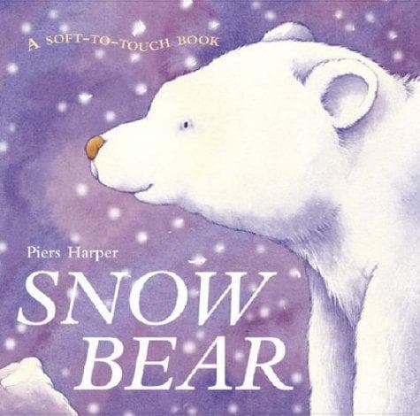 Cover image for Snow Bear