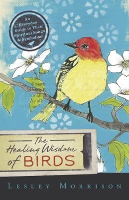 The Healing Wisdom Of Birds An Everyday Guide To Their Spiritual Songs Symbolism