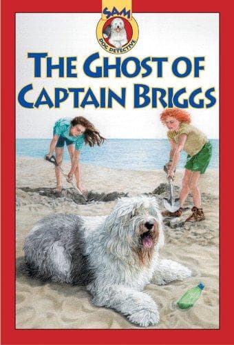 Cover image for The ghost of Captain Briggs