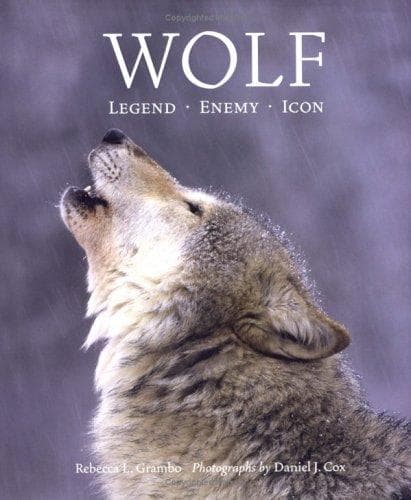 Cover image for Wolf