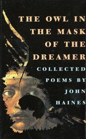 Cover image for The owl in the mask of the dreamer