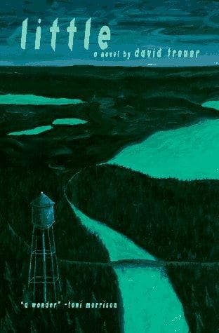 Cover image for Little
