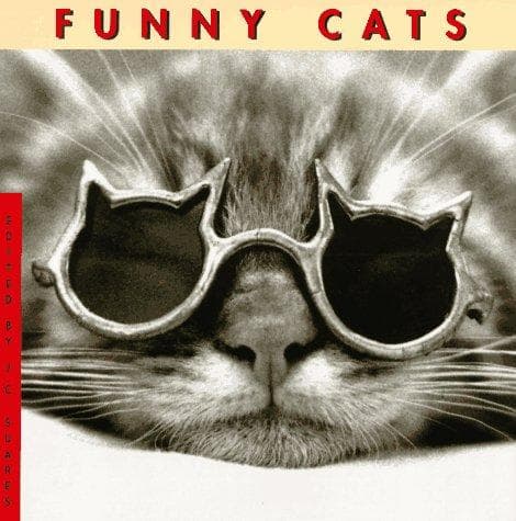 Cover image for Funny cats